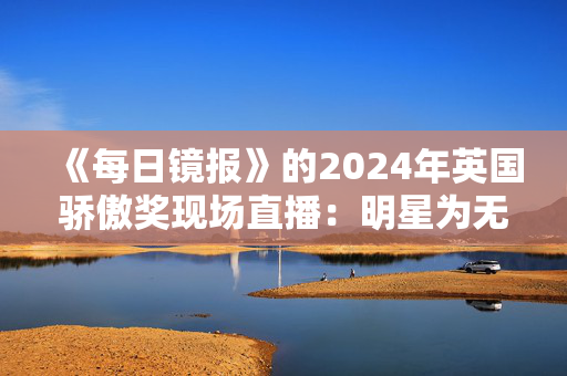 《每日镜报》的2024年英国骄傲奖现场直播：明星为无名英雄领奖