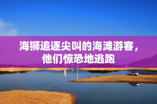 海狮追逐尖叫的海滩游客，他们惊恐地逃跑