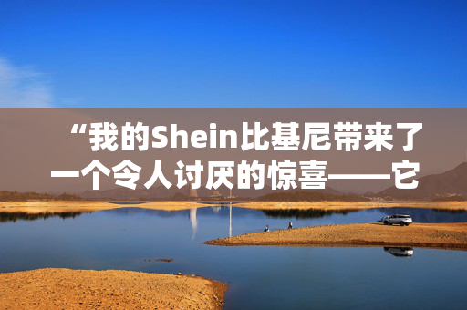 “我的Shein比基尼带来了一个令人讨厌的惊喜——它绝对是恶心的。”