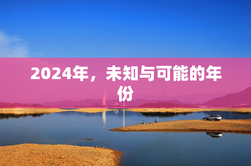 2024年，未知与可能的年份